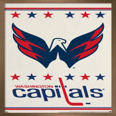 Trends International NHL Washington Capitals - Logo 14 Wall Poster, 14.725" x 22.375", Bronze Framed Version