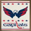 Trends International NHL Washington Capitals - Logo 14 Wall Poster, 14.725" x 22.375", Bronze Framed Version view 1