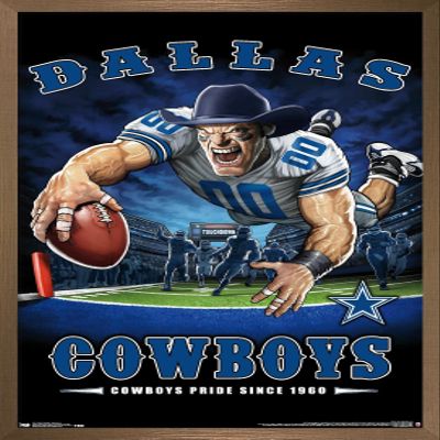 Trends International NFL Dallas Cowboys - End Zone 17 Wall Poster, 22.375" x 34", Bronze Framed Version