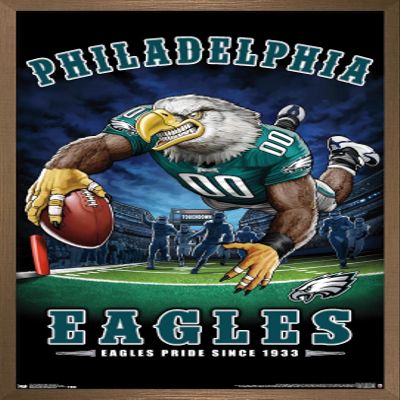 Trends International NFL Philadelphia Eagles - End Zone 17 Wall Poster, 14.725" x 22.375", Bronze Framed Version