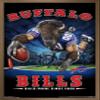 Trends International NFL Buffalo Bills - End Zone 17 Wall Poster, 22.375" x 34", Bronze Framed Version view 1
