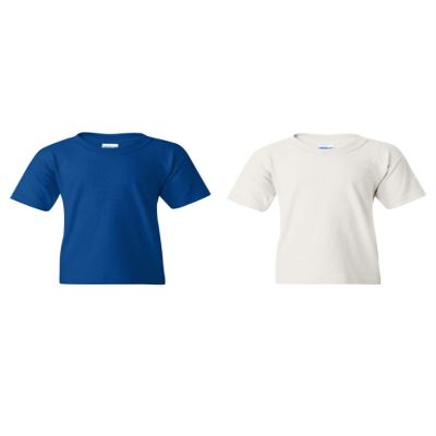 Gildan unisex child Youth Pack fashion t shirts, Royal/White, Medium US