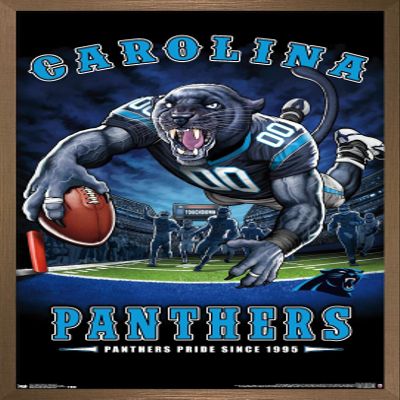 Trends International NFL Carolina Panthers - End Zone 17 Wall Poster, 22.375" x 34", Bronze Framed Version