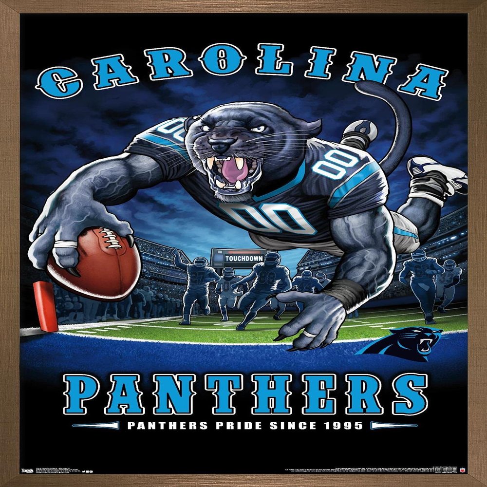 Trends International NFL Carolina Panthers - End Zone 17 Wall Poster, 22.375" x 34", Bronze Framed Version