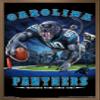 Trends International NFL Carolina Panthers - End Zone 17 Wall Poster, 22.375" x 34", Bronze Framed Version view 1