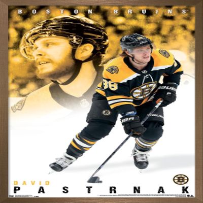 Trends International NHL Boston Bruins - David Pastrnk 19 Wall Poster, 22.375" x 34", Bronze Framed Version