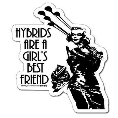 birth.golf.death. Golf Sticker Decal - Marilyn Monroe Hybrids are a Girl's Best Friend - MMH