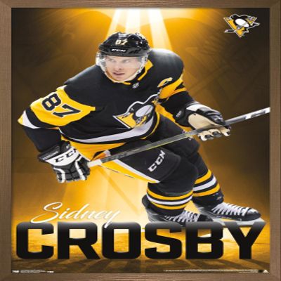 Trends International NHL Pittsburgh Penguins - Sidney Crosby 18 Wall Poster, 22.375" x 34", Bronze Framed Version