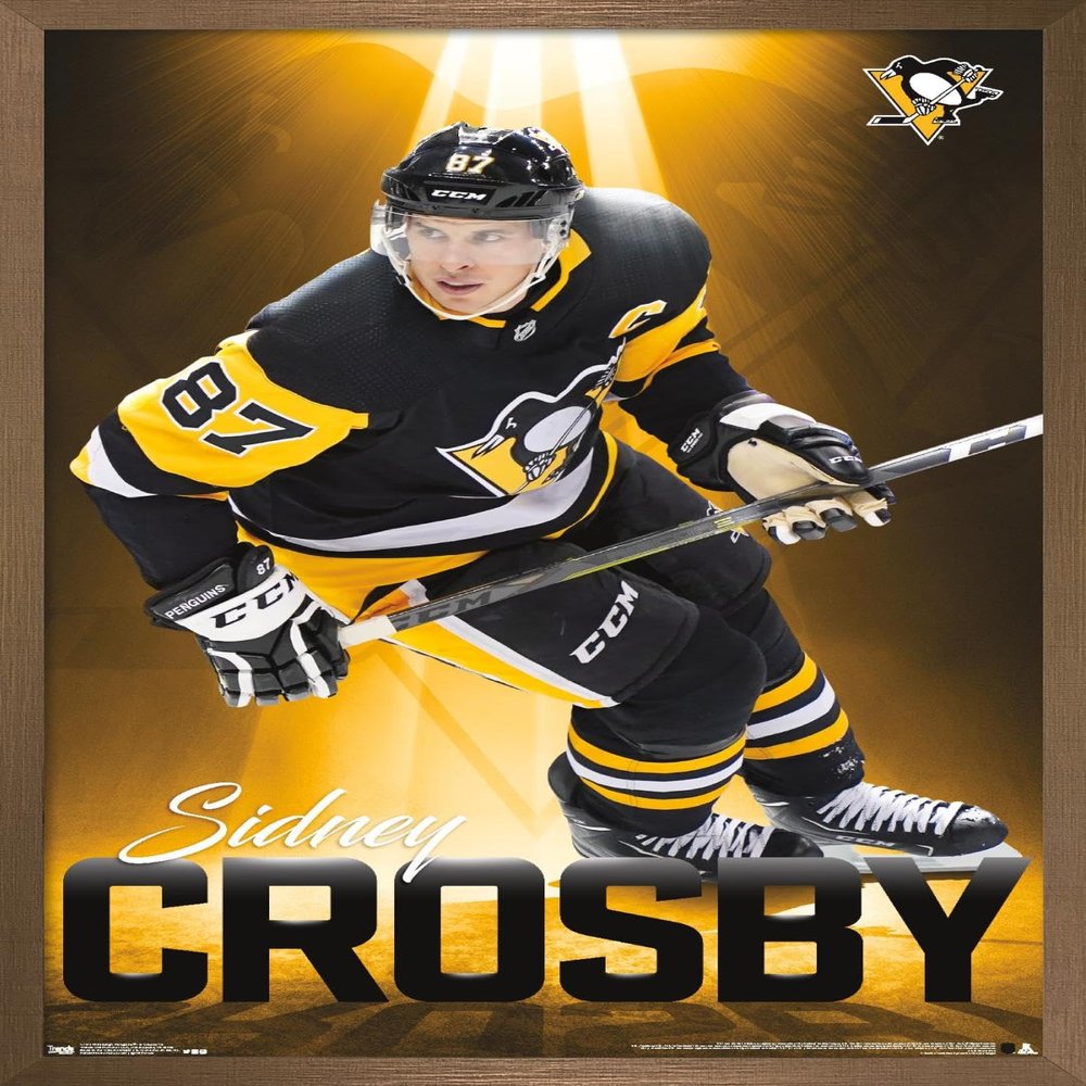 Trends International NHL Pittsburgh Penguins - Sidney Crosby 18 Wall Poster, 22.375" x 34", Bronze Framed Version