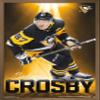 Trends International NHL Pittsburgh Penguins - Sidney Crosby 18 Wall Poster, 22.375" x 34", Bronze Framed Version view 1