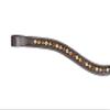 Grewal Equestrian Autumn Flower Curved Browband (Havana, Oversize) view 1