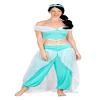 Orion Costumes Princess Jasmine Adult Costume | Small view 1
