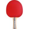 Butterfly Lin Yun-Ju 1 Shakehand Table Tennis Racket - Maximum Control for Novice Players - Lin Yun-Ju Series - Recommended for Beginning Level Players view 3