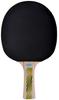 Donic-Schildkrt Legends 500 FSC Table Tennis Bat, AVS Handle Damping, 1.8 mm Sponge, FSC Wood, Elite - ITTF Rubber, 714407 view 2
