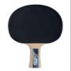Donic-Schildkrt Legends 1000 Table Tennis Bat, AVS, PLS & Ergo-Grip, 2.3 mm Sponge, FSC Wood, Energy-ITTF Rubber, 754427 view 2