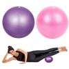 Doryum 2 pcs Soft Pilates Balls 9 inch / 23 cm Exercise Balance Ball Gym Fitness Ball Perfect for Pilates,Yoga, Core Training and Physical Therapy - Pink & Purple (Pink + Blue) view 1