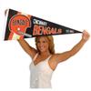 Cincinnati Bengals Throwback Vintage Retro Pennant Flag view 4