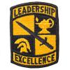 AGSU Patch, U.S. Army Cadet Command (ROTC) view 1