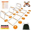 ALPHAWORX All-in-One Agility Ladder Agility Training Equipment Foldable Instant Set-up Tangle-Free Design 8+4 Rung Speed Ladder Workout Ladder with 12 Soccer Cones & 3 Resistance Band & 1 Storage Bag view 1