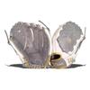 Wilson 2021 A2000 V125SS 12.5" Outfield Fastpitch Glove - Left Hand Throw, White/Grey/Yellow view 1