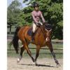 TIPPERARY EQUESTRIAN Horse Riding Helmet - Windsor - English Style Protective Horseback Riding Apparel - Customizable Fit and Cooling Ventilation - Black Chrome - Trad Brim - S view 2