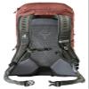 Deuter AC Lite 24 | Hiking Backpack with Lightweight Steel Frame and Ergonomical Straps | Hydration Compatible, Ventilated Back and Rain Cover for Day - Redwood-Ivy view 2