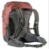 Deuter AC Lite 24 | Hiking Backpack with Lightweight Steel Frame and Ergonomical Straps | Hydration Compatible, Ventilated Back and Rain Cover for Day - Redwood-Ivy view 4