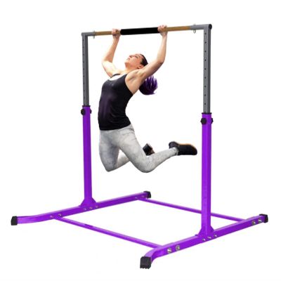 Pro-Gymnastics Expandable Gymnastics Bars Height Adjustable Up to 5 FT. Gymnastic Horizontal Bars Junior Training Bar Children Folding Training Monkey Bars for Kids (Purple)