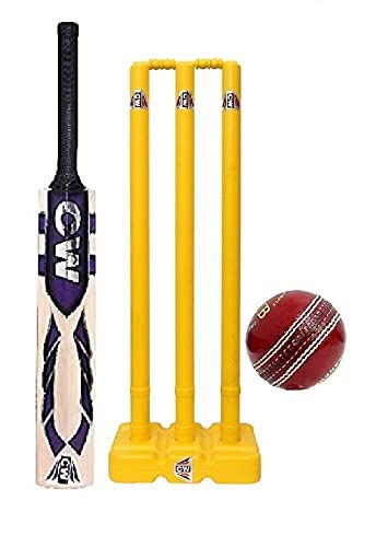 CW Pitch Smasher Cricket Kit Premium Kashmir Willow Cricket Bat Adult Size Plastic Wicket Set & 2 Part Seasoned Leather Cricket Ball Cork Inner