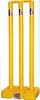 CW Pitch Smasher Cricket Kit Premium Kashmir Willow Cricket Bat Adult Size Plastic Wicket Set & 2 Part Seasoned Leather Cricket Ball Cork Inner view 4