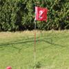 1pc A99 Golf Portable Flag w. Cup Practice Hole Pole backyard Putting Green #1#2#3 (#2) view 2
