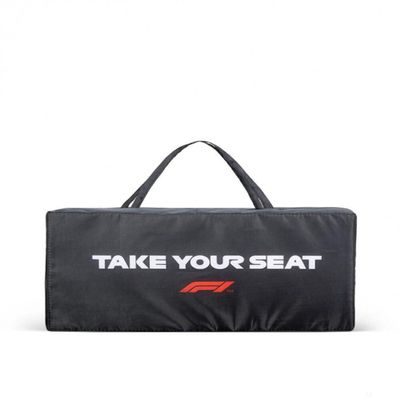 Fuel For Fans Formula 1 F1 Tech Collection Large Logo Seat Cushion Black One size 324901025
