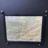 Ultramatic Feeders Deer Blind Window Swing sash 36" x 10" Clear view 1
