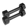 5lb Pair Cast Iron Dumbbells view 1