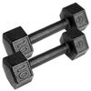 10lb Pair Cast Iron Dumbbells view 1