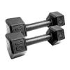 10lb Pair Cast Iron Dumbbells view 2