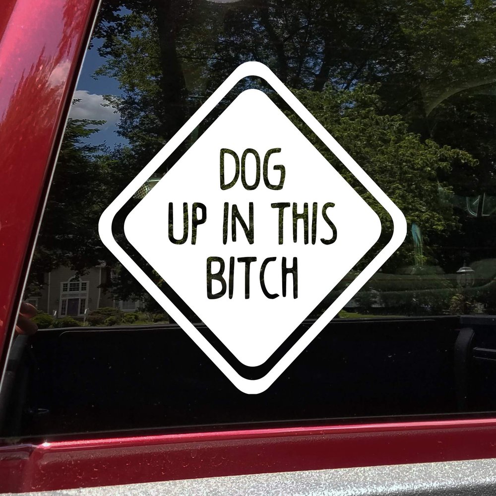 Minglewood Trading Dog up in This Bitch Vinyl Decal - Family Pet Puppy - Die Cut Sticker - 10w x 10h inches - Burgundy