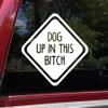 Minglewood Trading Dog up in This Bitch Vinyl Decal - Family Pet Puppy - Die Cut Sticker - 10w x 10h inches - Burgundy view 1