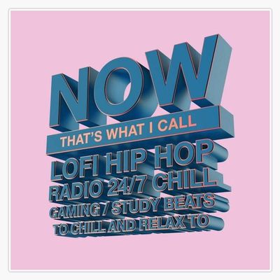 Now That's What I Call Lofi Hip Hop Radio 24/7 Chill Gaming/Study Beats to Chill and Relax to Meme Sticker Vinyl Bumper Sticker Decal Waterproof 5"