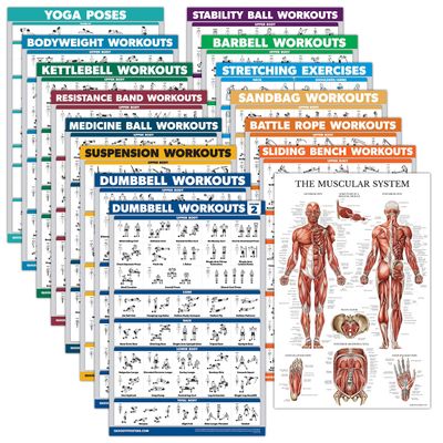 15 Pack - Exercise Poster Set, Dumbbell, Suspension, Kettlebell, Resistance Bands, Stretching, Bodyweight, Barbell, Yoga, Battle Rope, Exercise Ball, Muscular, Medicine Ball (LAMINATED, 18" x 24")