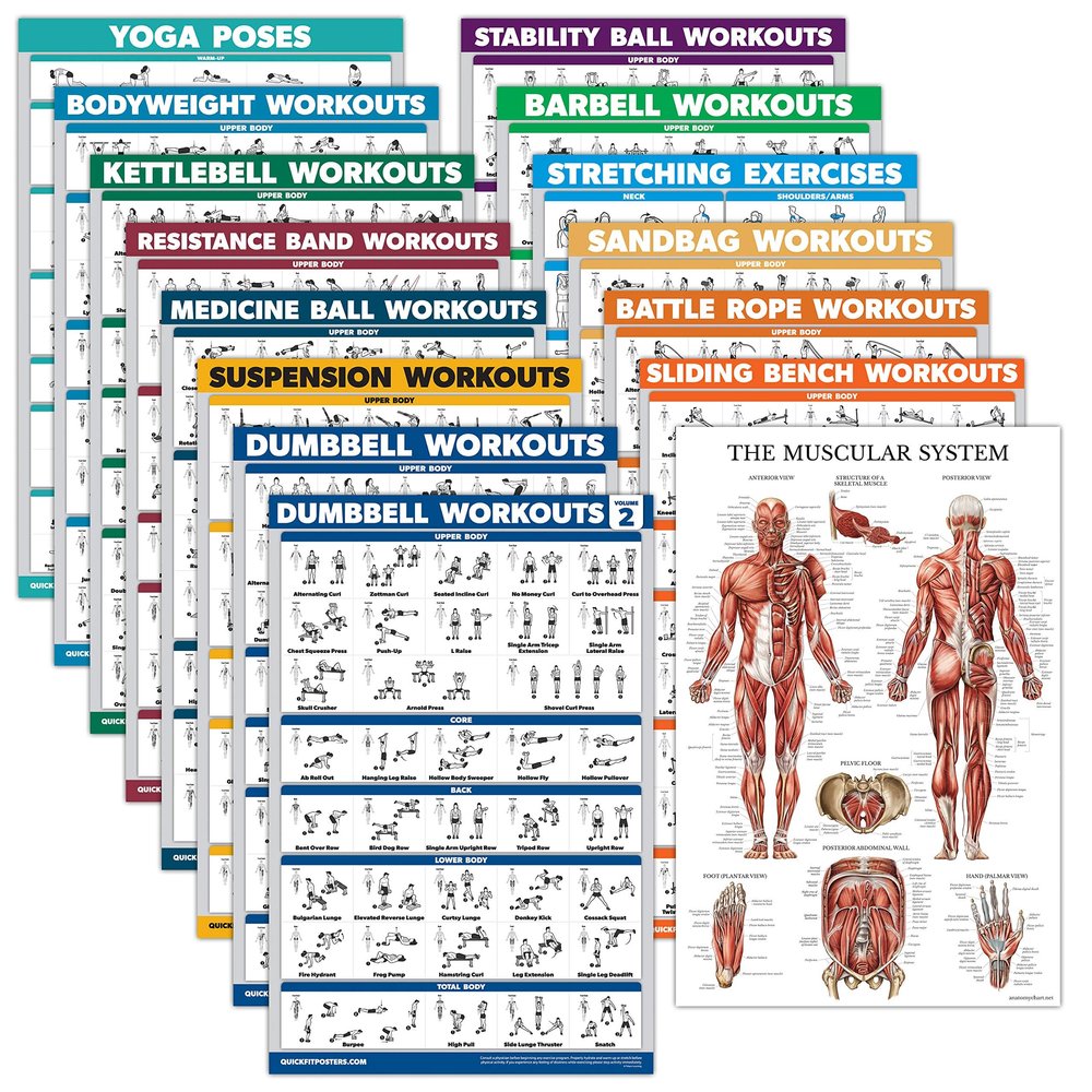 15 Pack - Exercise Poster Set, Dumbbell, Suspension, Kettlebell, Resistance Bands, Stretching, Bodyweight, Barbell, Yoga, Battle Rope, Exercise Ball, Muscular, Medicine Ball (LAMINATED, 18" x 24")