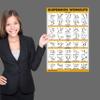 18 Pack - Exercise Poster Set, Dumbbell, Suspension, Kettlebell, Resistance Bands, Stretching, Bodyweight, Barbell, Battle Rope, Yoga, Exercise Ball, Muscular and More (LAMINATED, 18" x 24") view 4