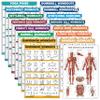 16 Pack - Exercise Poster Set, Dumbbell, Suspension, Kettlebell, Resistance Bands, Medicine Ball, Battle Rope, Stretching, Bodyweight, Barbell, Yoga, Exercise Ball, Muscular (LAMINATED, 18" x 24") view 1