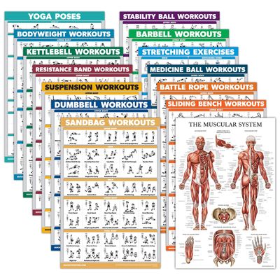 14 Pack - Exercise Poster Set, Dumbbell, Suspension, Kettlebell, Resistance Bands, Stretching, Muscular, Medicine Ball, Battle Rope, Bodyweight, Barbell, Yoga, Exercise Ball (LAMINATED, 18" x 24")