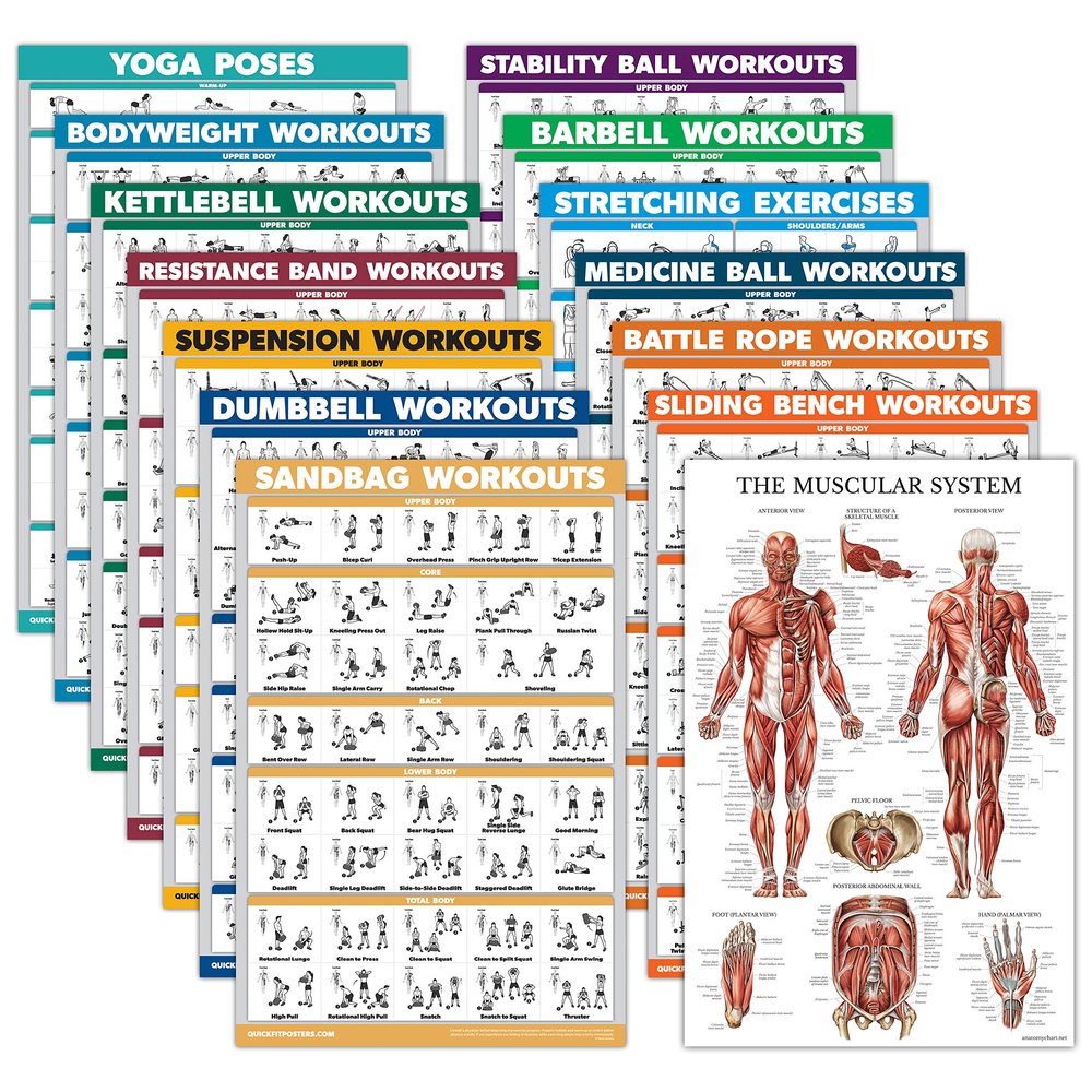 14 Pack - Exercise Poster Set, Dumbbell, Suspension, Kettlebell, Resistance Bands, Stretching, Muscular, Medicine Ball, Battle Rope, Bodyweight, Barbell, Yoga, Exercise Ball (LAMINATED, 18" x 24")