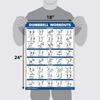 14 Pack - Exercise Poster Set, Dumbbell, Suspension, Kettlebell, Resistance Bands, Stretching, Muscular, Medicine Ball, Battle Rope, Bodyweight, Barbell, Yoga, Exercise Ball (LAMINATED, 18" x 24") view 2