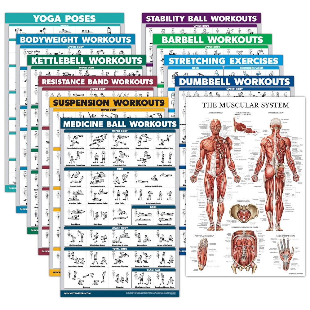 11 Pack - Exercise Poster Set, Dumbbell, Suspension, Kettlebell, Resistance Bands, Stretching, Bodyweight, Barbell, Yoga, Exercise Ball, Muscular System, Medicine Ball (LAMINATED, 18" x 24")