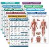 11 Pack - Exercise Poster Set, Dumbbell, Suspension, Kettlebell, Resistance Bands, Stretching, Bodyweight, Barbell, Yoga, Exercise Ball, Muscular System, Medicine Ball (LAMINATED, 18" x 24") view 1