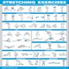 11 Pack - Exercise Poster Set, Dumbbell, Suspension, Kettlebell, Resistance Bands, Stretching, Bodyweight, Barbell, Yoga, Exercise Ball, Muscular System, Medicine Ball (LAMINATED, 18" x 24") view 4