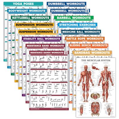 17 Pack - Exercise Poster Set: Dumbbell, Suspension, Kettlebell, Muscular, Medicine Ball, Battle Rope, Resistance Bands, Stretching, Bodyweight, Barbell, Yoga and More (LAMINATED, 18" x 24")